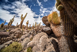 2017 Salar de Uyuni (Bolivia)