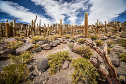 2017 Salar de Uyuni (Bolivia)