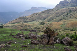 2014 Spioenkop Nature Reserve (Zuid-Afrika)