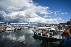 2019 Ajjacio (Corsica) 2019 Ajjacio (Corsica)