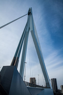 2008 Rotterdam 2008 Rotterdam
