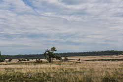 2022 Loenen (Gelderland) 2022 Loenen (Gelderland)