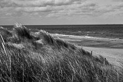 2022 Noordwijk Camping De Duinpan 2022 Noordwijk Camping De Duinpan