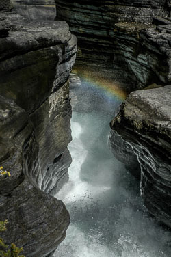 2008 Canada (Icefield Parkway) 2008 Canada (Icefield Parkway)