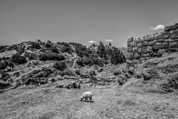 2017 Sacsayhuaman (Peru) 2017 Sacsayhuaman (Peru)